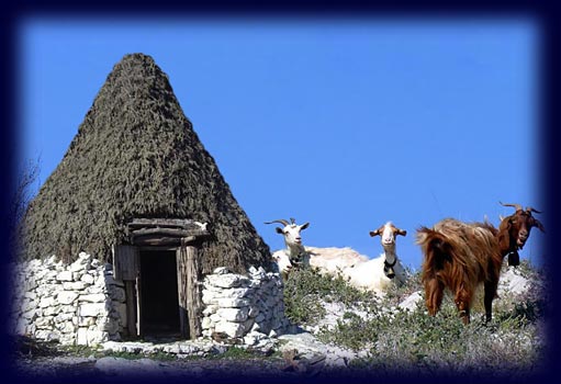 Su Pinnatu, antica capanna dei pastori